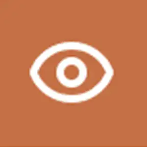 Search function graphic